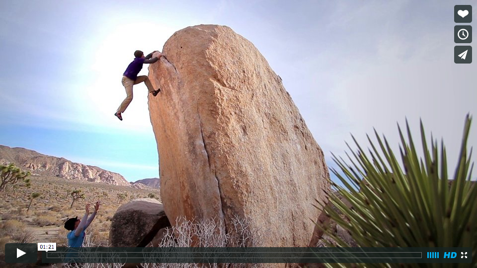 White Rasta – Joshua Tree National Park